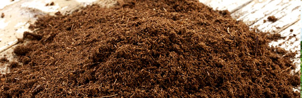 sri lanka coco peat, cocos plus potting soil